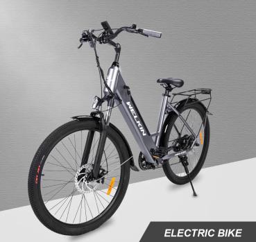 E-Bike Welkin 350 CITYSTAR *25 Km/h*